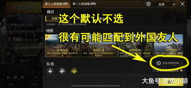 (终结战场国际服叫什么名字)终结战场国际服是否已被下架？最新消息更新